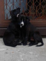 /album/joanns-photography/website-1-jpg/